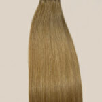 Ombre Sandy Olivaceous